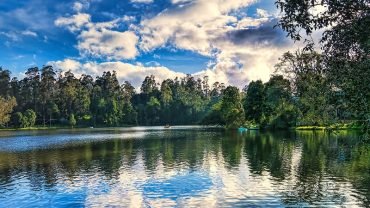 Exploring Kodaikanal Lake: Pearl of the South