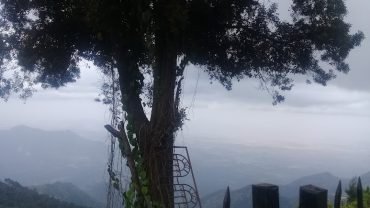 Gunacave-kodaikanal