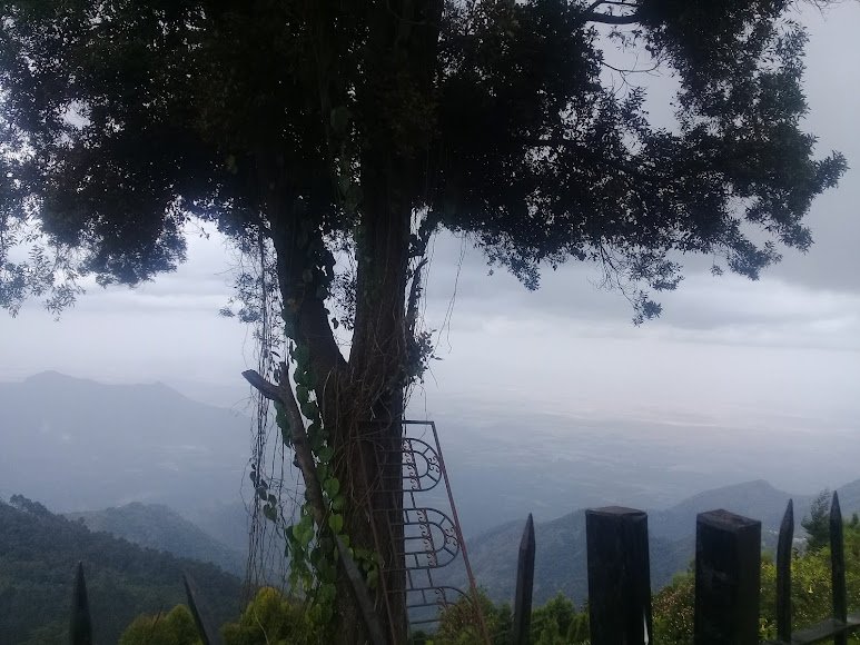 Gunacave-kodaikanal