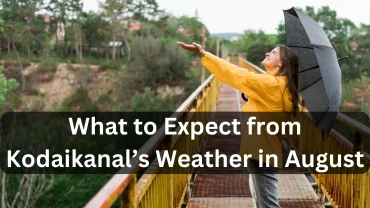 Planning a Trip? Here’s What to Expect from Kodaikanal’s Weather in August