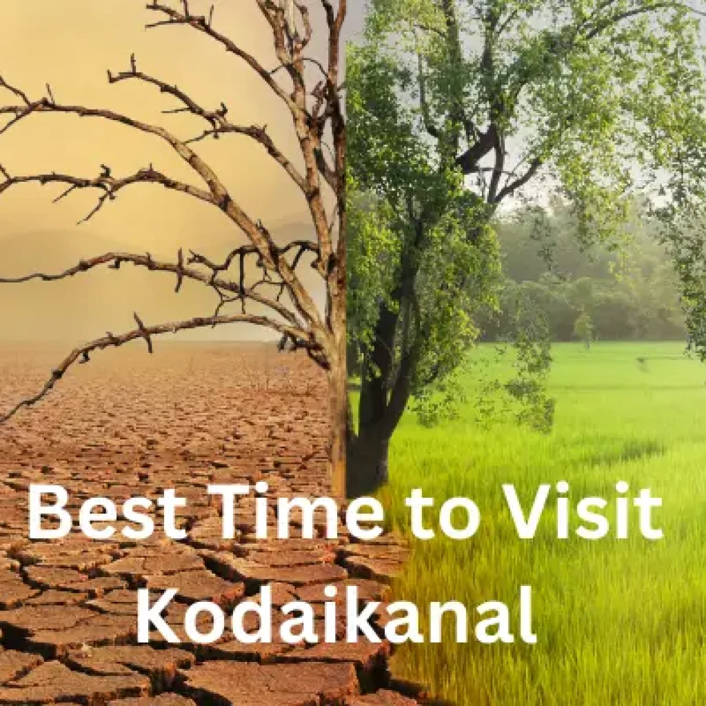 Best Time to Visit Kodaikanal