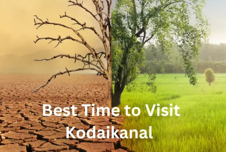 Best Time to Visit Kodaikanal