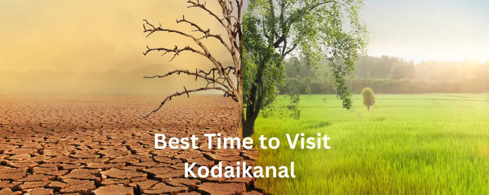 Best Time to Visit Kodaikanal