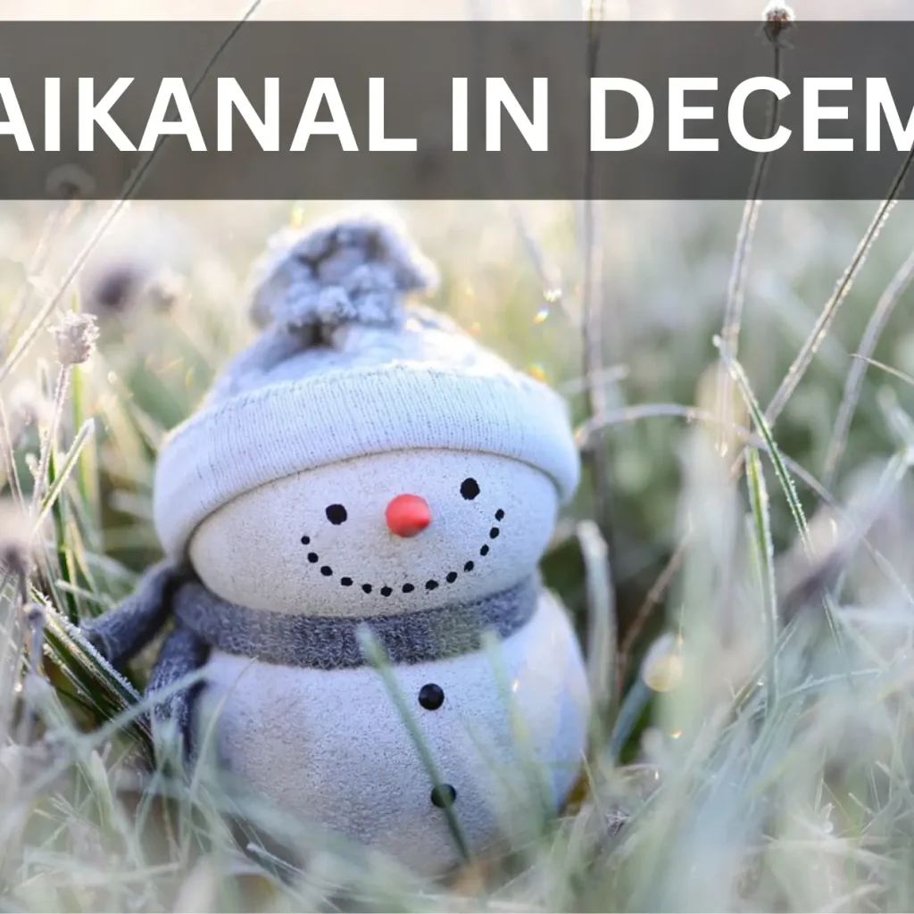 Planning a Trip to Kodaikanal in December? A Weather Guide