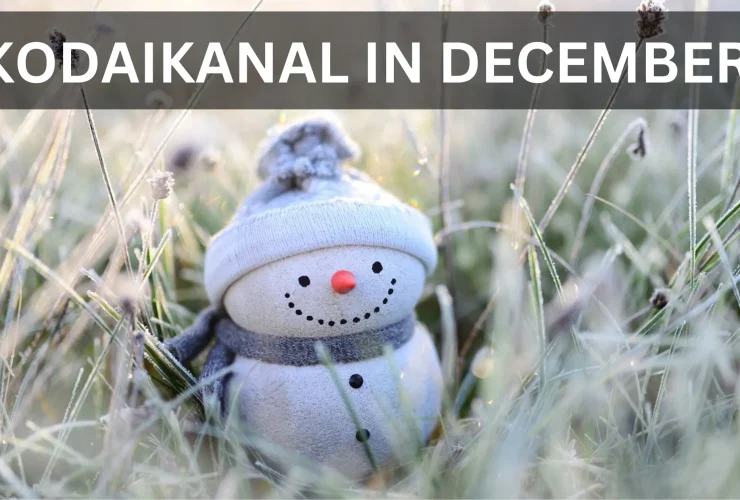 Planning a Trip to Kodaikanal in December? A Weather Guide