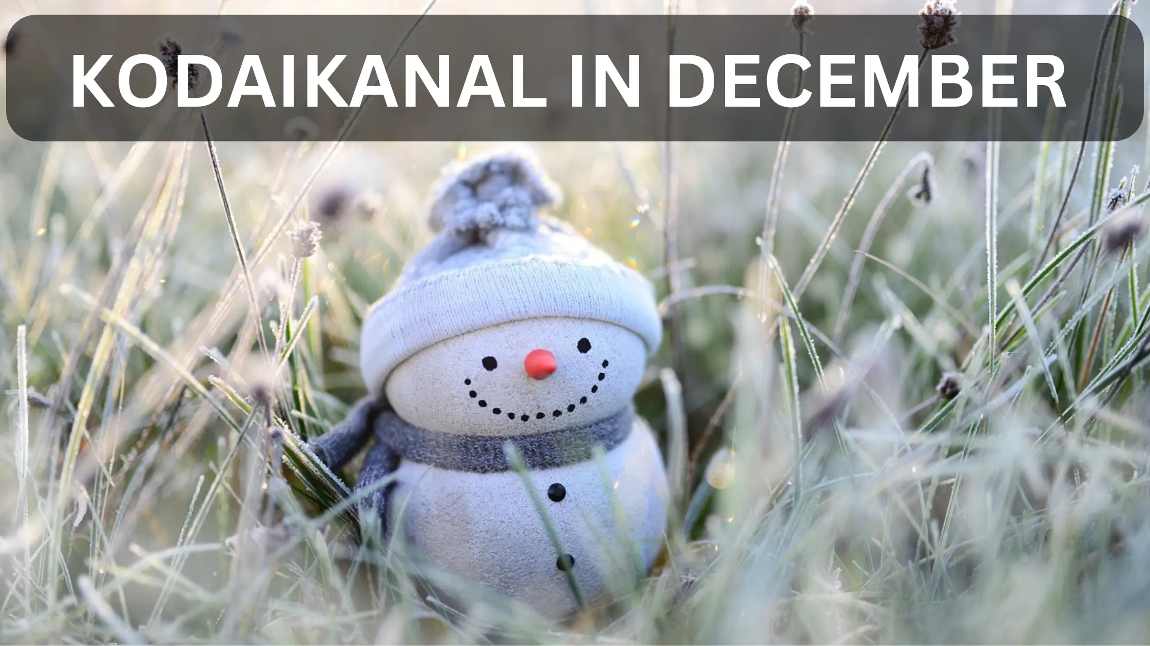 Planning a Trip to Kodaikanal in December? A Weather Guide